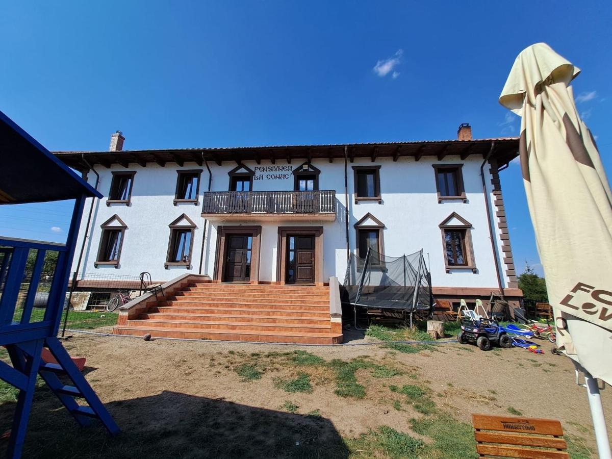 Pensiunea La Conac Birlad Exterior photo